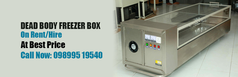 Freezer box services